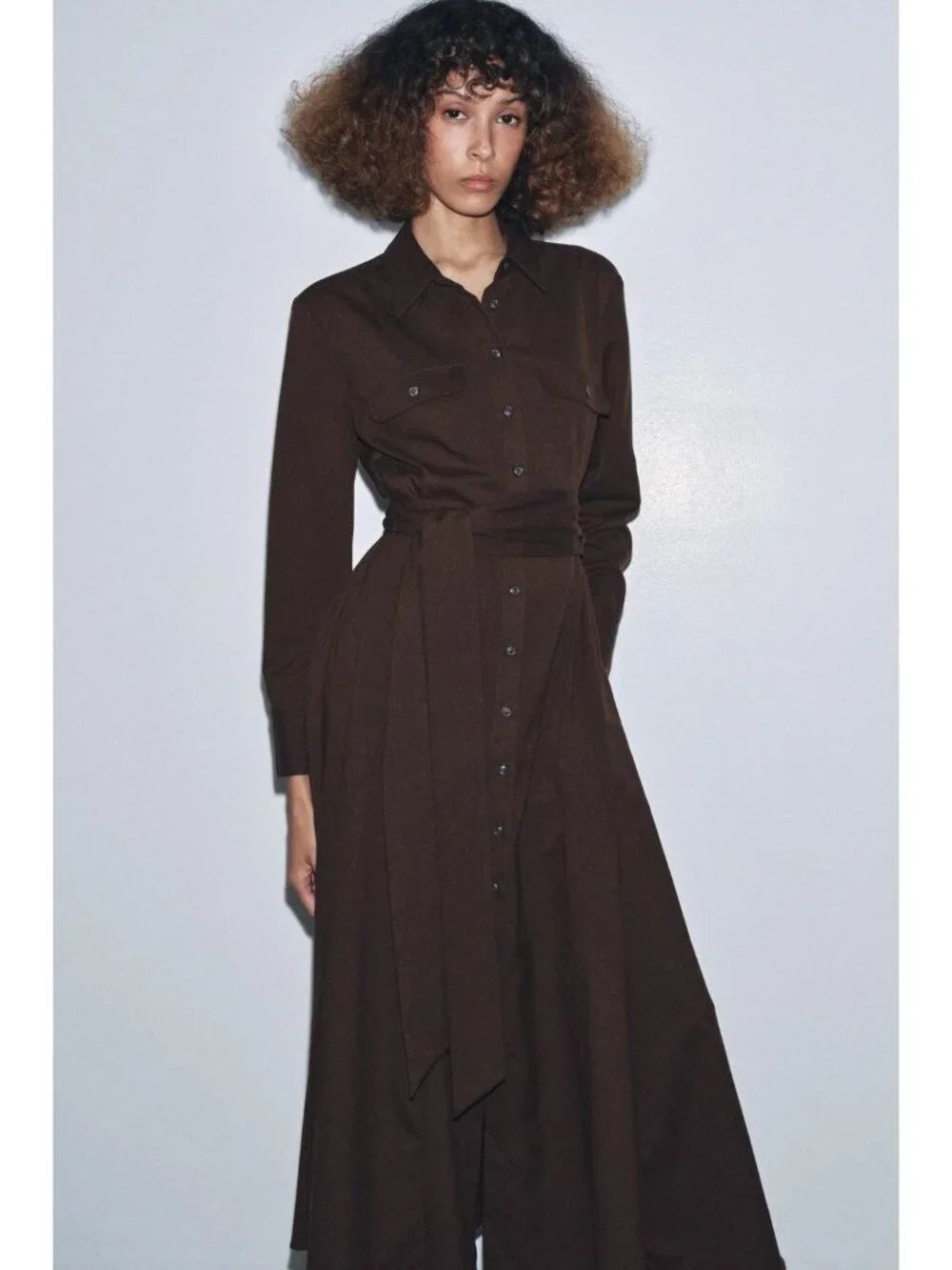 Zara Womens Shirt Dress Small Brown Belted Wool poly Long Sleeve 9558/041 NWT